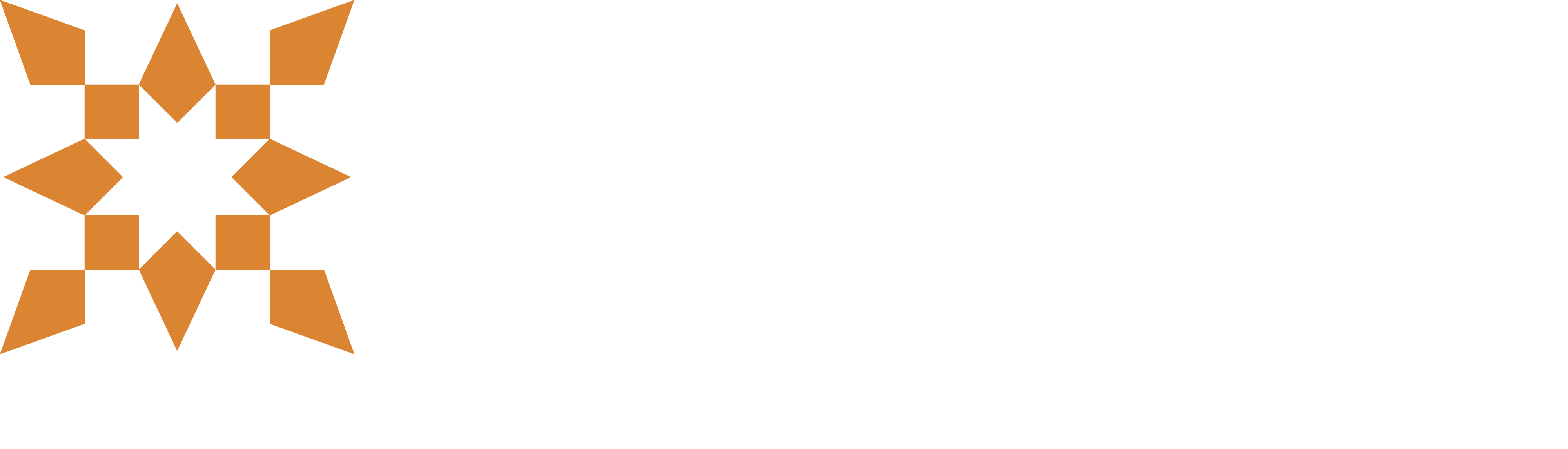 NICE PIK2 logo